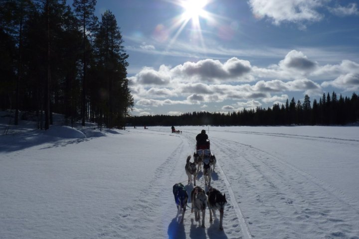 a person riding a horse in the snow