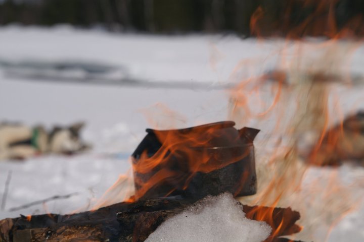 a close up of a yellow umbrella