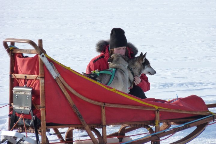 a person riding a horse in the snow
