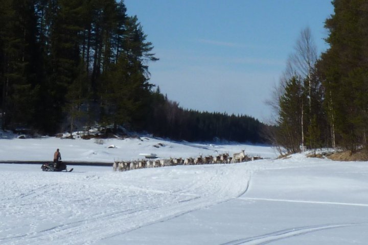 a group of people cross country skiing in the snow