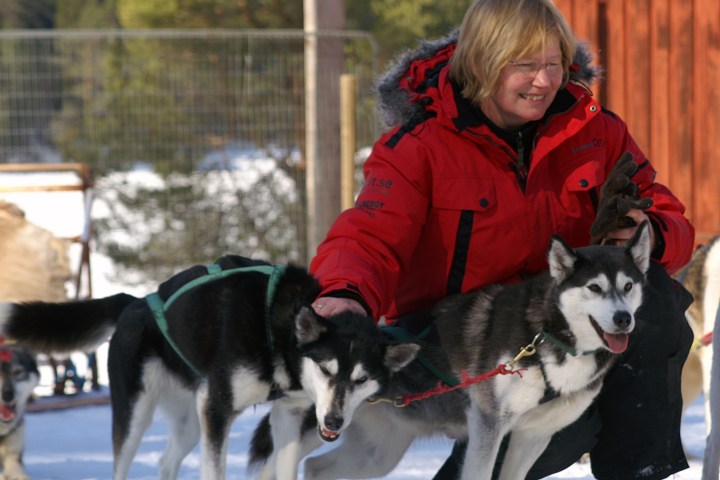a person and a dog in the snow