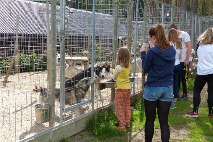 a group of people standing in a cage