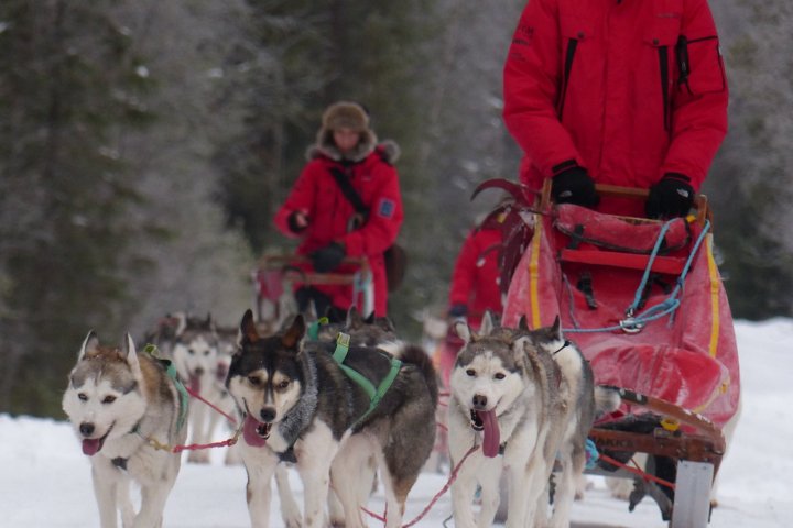 a man riding a horse in the snow