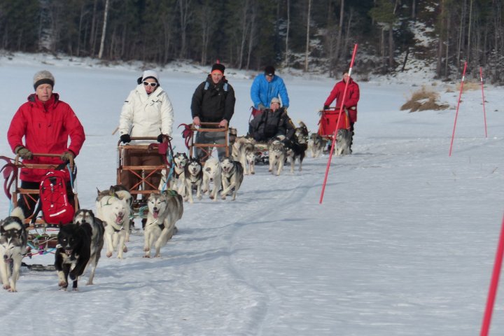 a group of people riding horses in the snow