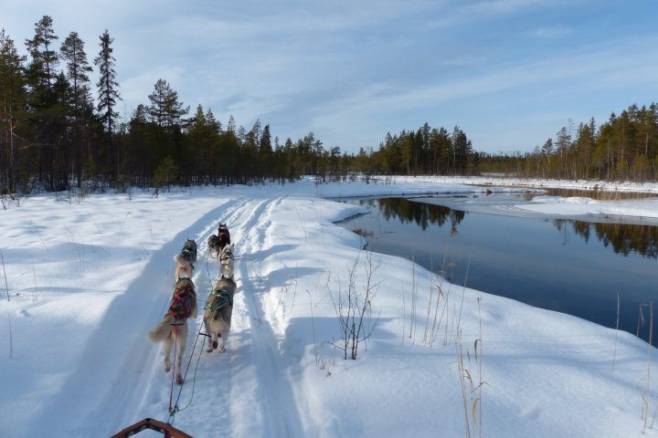 a man cross country skiing in the snow