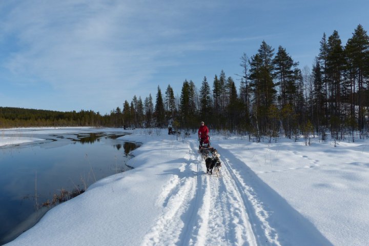 a man riding skis down a snow covered slope
