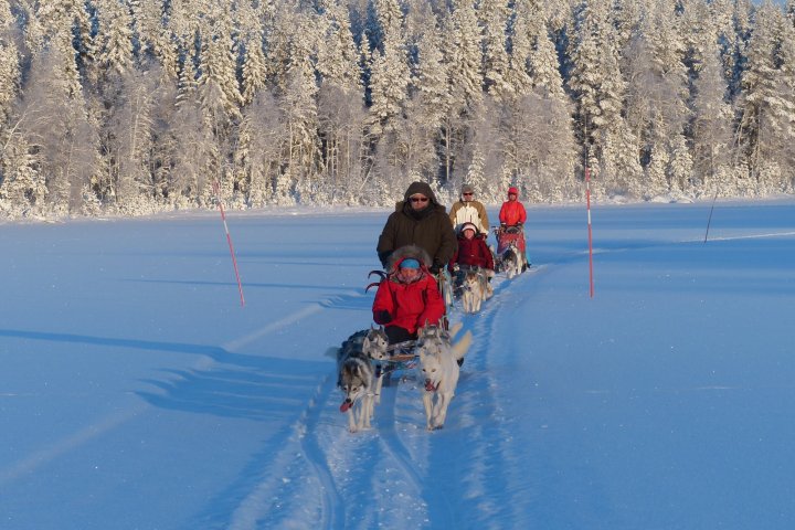a group of people riding skis on a snowy mountain