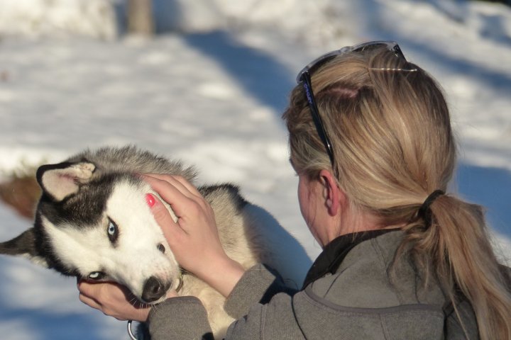 a person holding a dog