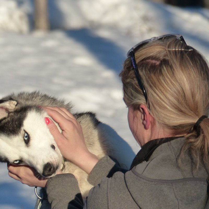 a person holding a dog