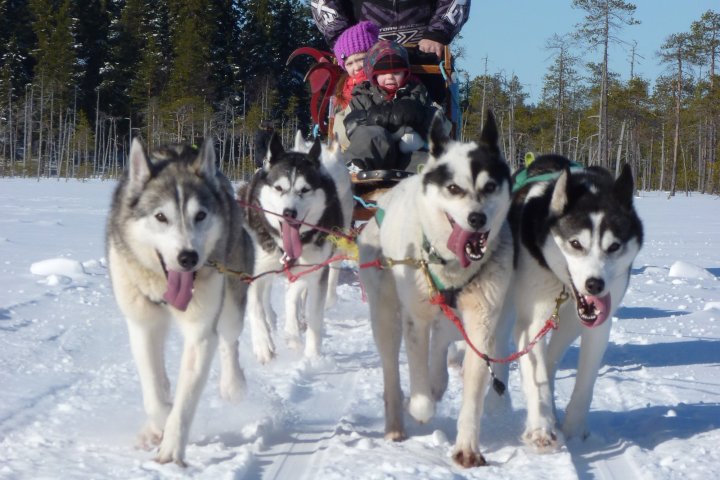 a man and a dog sitting in the snow