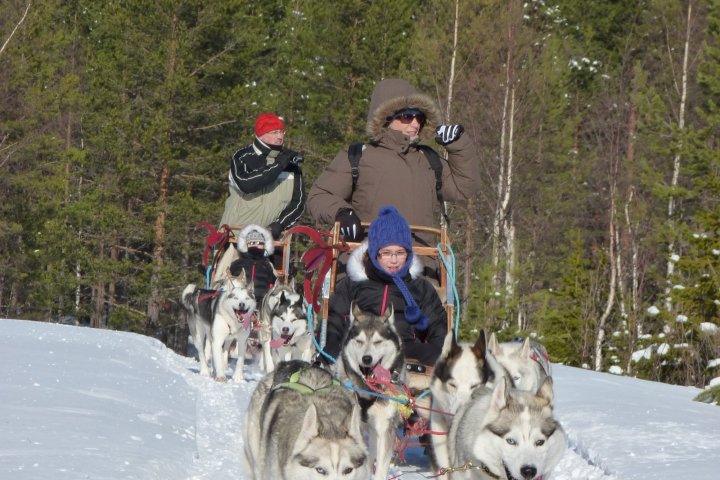 a group of people riding on the back of a horse in the snow