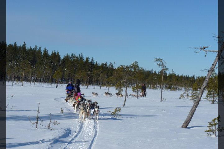 a group of people cross country skiing in the snow