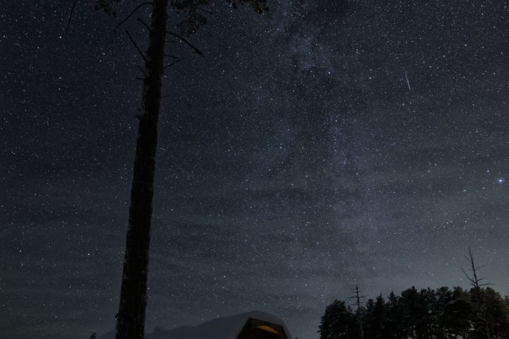 a stop sign at night