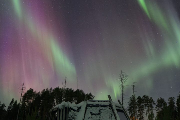 a close up of a snow covered slope