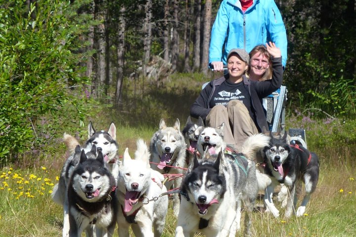 a man and a dog posing for the camera