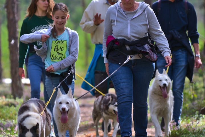 a group of people standing next to a dog