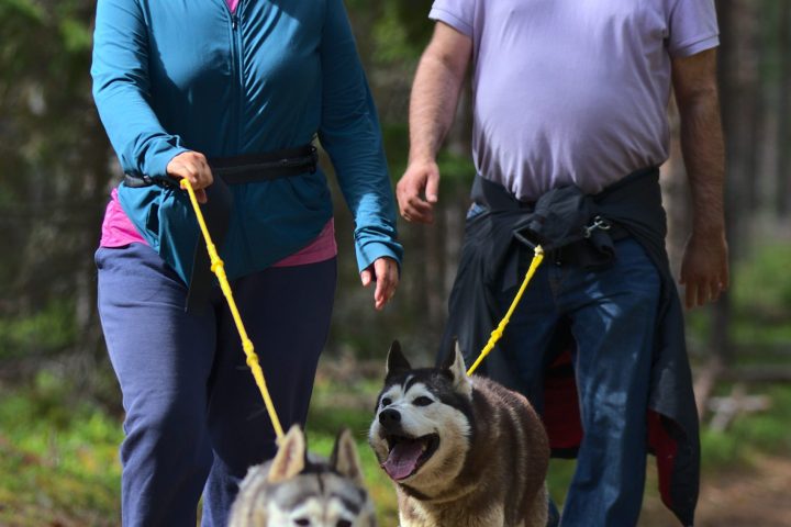 a man and a dog on a leash