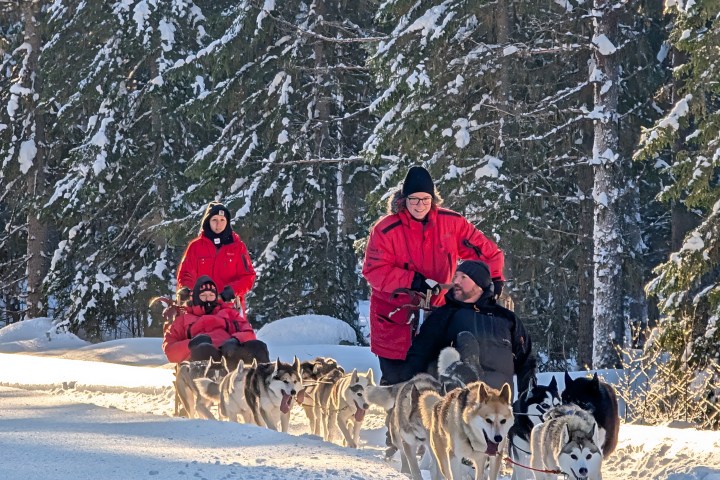 Two sleds pulled by huskies in a snowy forest with people in red coats.