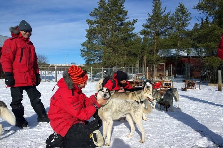 a person and a dog in the snow