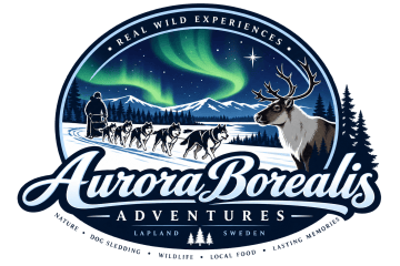 Aurora Borealis